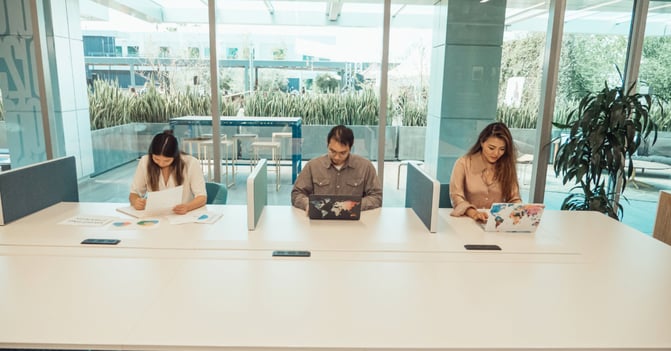 productividad en una empresa